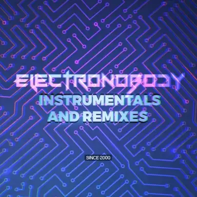 Instrumentals and Remixes (Since 2000) (demo version)
