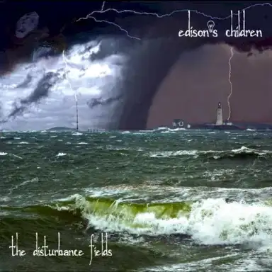 The Disturbance Fields