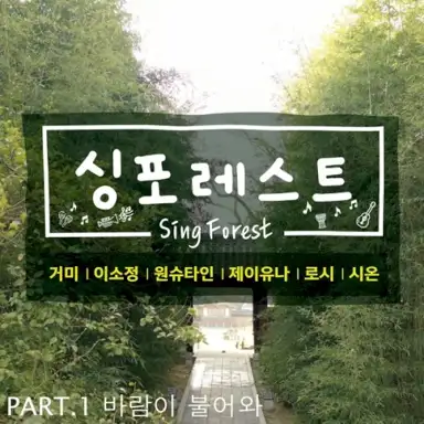 싱포레스트 Part.1