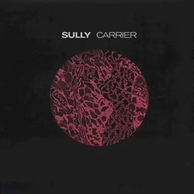 Carrier