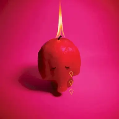 Pink Elephant