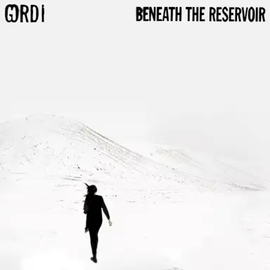 Beneath the Reservoir