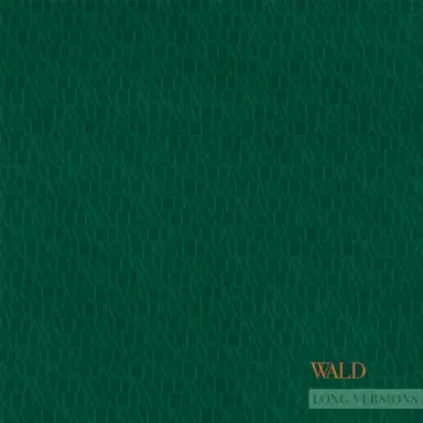Wald EP (Long Versions)