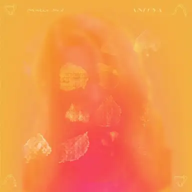 ANITYA