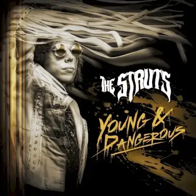YOUNG&DANGEROUS