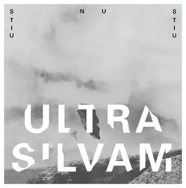 Ultra Silvam