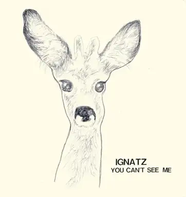 You Can't See Me