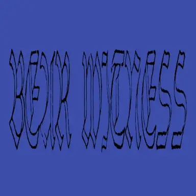 Bear Witness