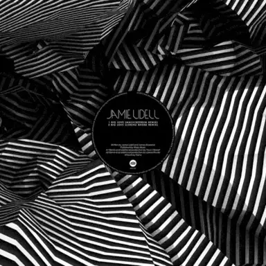 Big Love (Remixes)