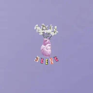 Stent