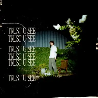 Trust U See