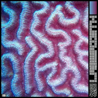 Labyrinth