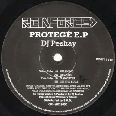 Protegé E.P