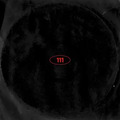 111 (Acoustic)
