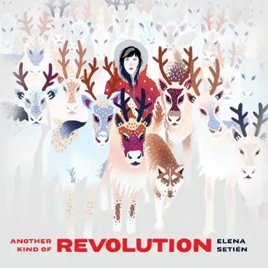 Another Kind of Revolution