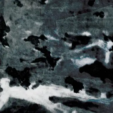 A MURDER OF CROWS