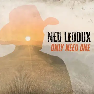 Only Need One