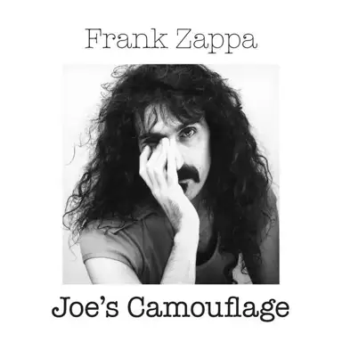 Joe’s Camouflage