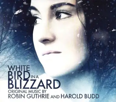 White Bird in a Blizzard