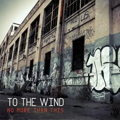 No More Than This