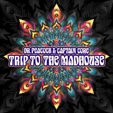 Trip to the Madhouse