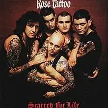 Scarred for Life