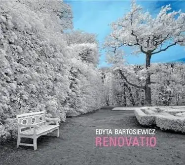 Renovatio