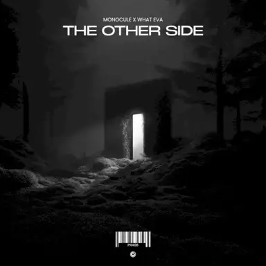 The Other Side