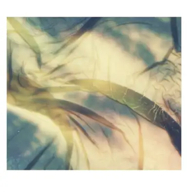 Kansai Botanicals