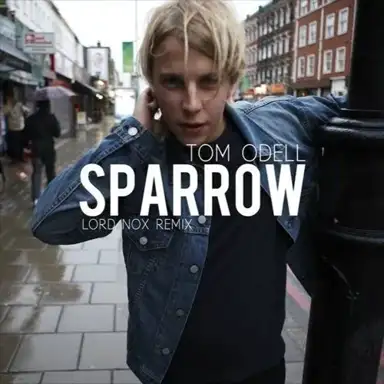 Sparrow (Lordnox remix)