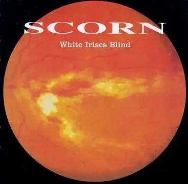 White Irises Blind