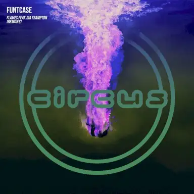 Flames (DirtySnatcha remix)