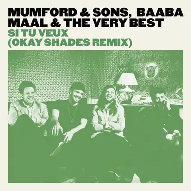 Si tu veux (Okayshades remix)