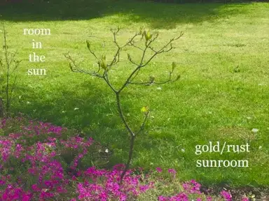 room in the sun