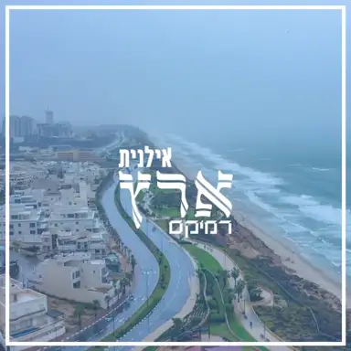 ארץ (רמיקס)
