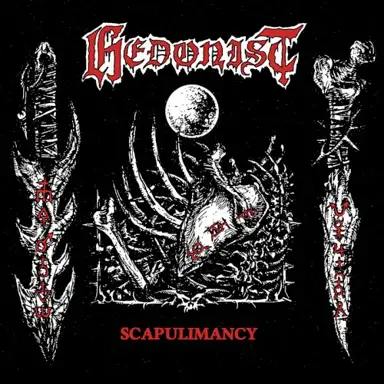 Scapulimancy