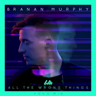 All the Wrong Things (Voco mix)