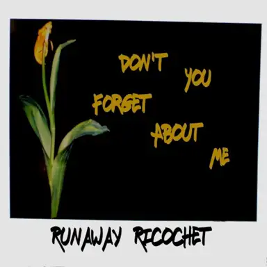 Don't You (Forget About Me)