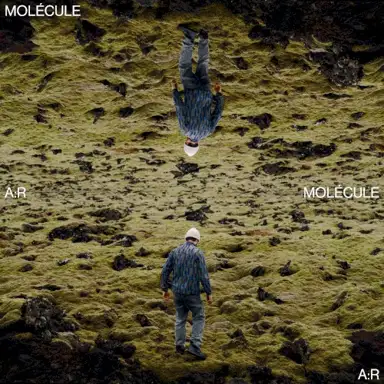 A:R