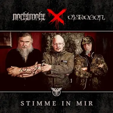 Stimme in mir (Antisozial ICD-10 F60.2)
