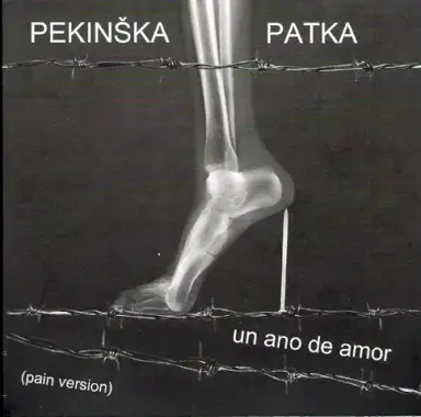 Un ano de amor