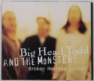 Broken Hearted Savior