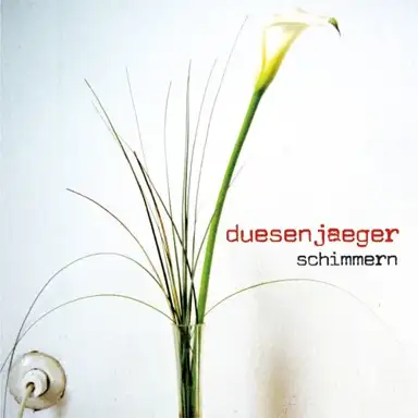 Schimmern