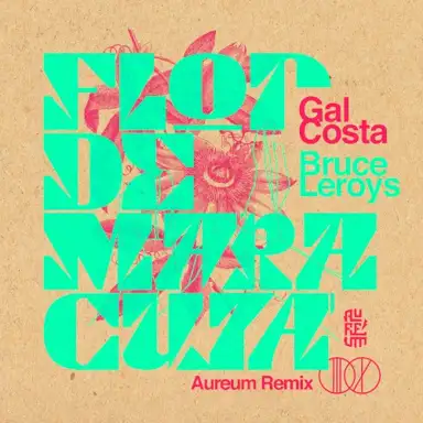 Flor De Maracujá (*Aureum Remix)