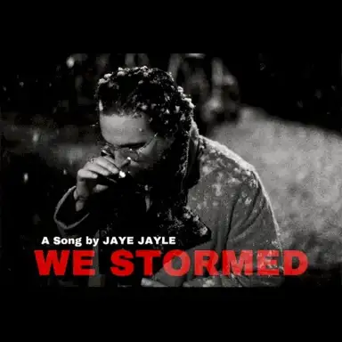 We Stormed