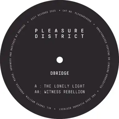 Pleasure District 009