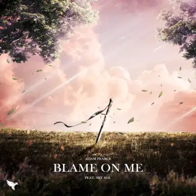 Blame On Me