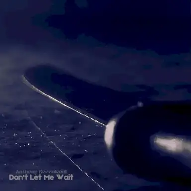 Don't Let Me Wait