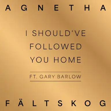 I Should've Followed You Home