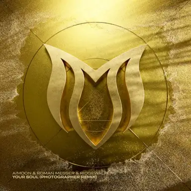 Your Soul (Photographer Remix)